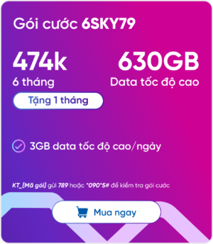Sim thẻ SIM VNSKY – Bộ KIT 6SKY79