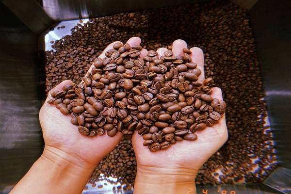 Cà Phê Hạt Giá Sỉ: Nguồn Cung Cấp Uy Tín Cho Doanh Nghiệp Và Cá Nhân