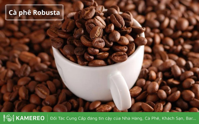 Cà Phê Hạt Giá Sỉ: Nguồn Cung Cấp Uy Tín Cho Doanh Nghiệp Và Cá Nhân