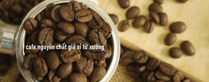 Cà Phê Hạt Giá Sỉ: Nguồn Cung Cấp Uy Tín Cho Doanh Nghiệp Và Cá Nhân