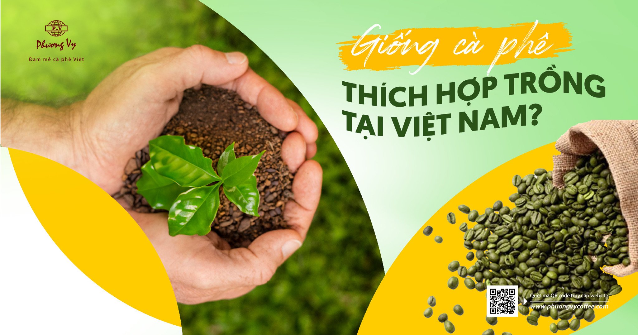Cà Phê Hạt: Giới Thiệu Tổng Quan Về Các Loại Và Nguồn Gốc Cà Phê Hạt: Giới Thiệu Tổng Quan Về Các Loại Và Nguồn Gốc