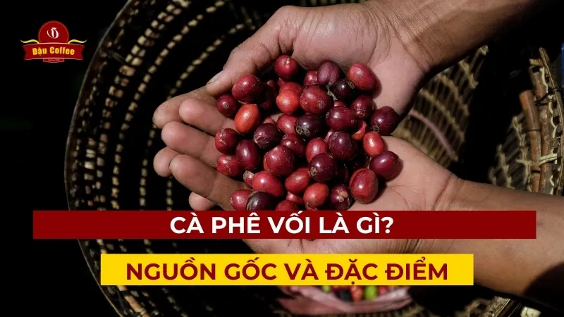 Cà Phê Hạt: Giới Thiệu Tổng Quan Về Nguồn Gốc, Loại Và Phương Thức Chế Biến