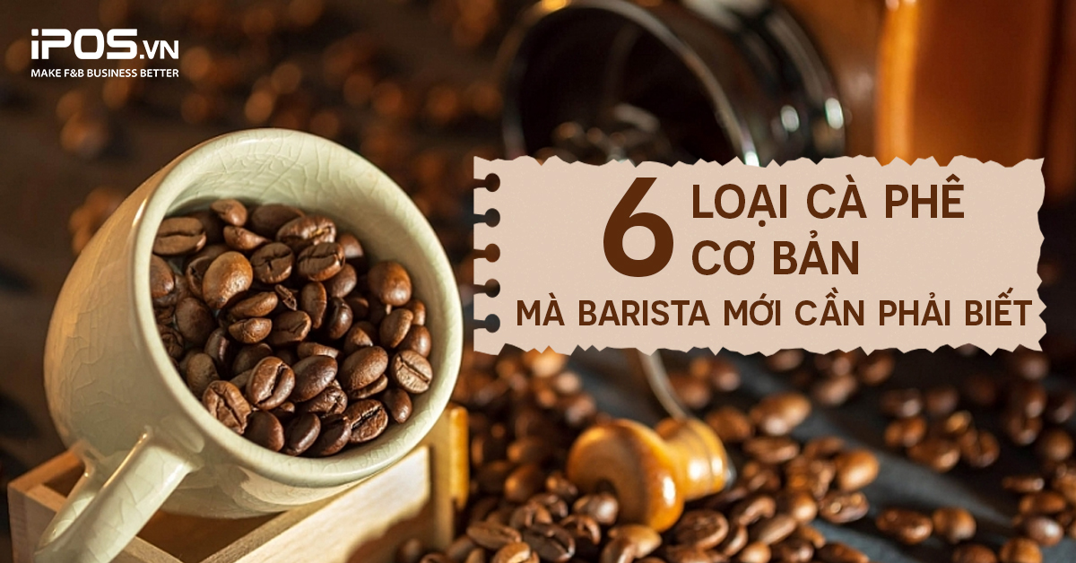 Cà Phê Hạt: Giới Thiệu Tổng Quan Về Nguồn Gốc, Loại Và Phương Thức Chế Biến