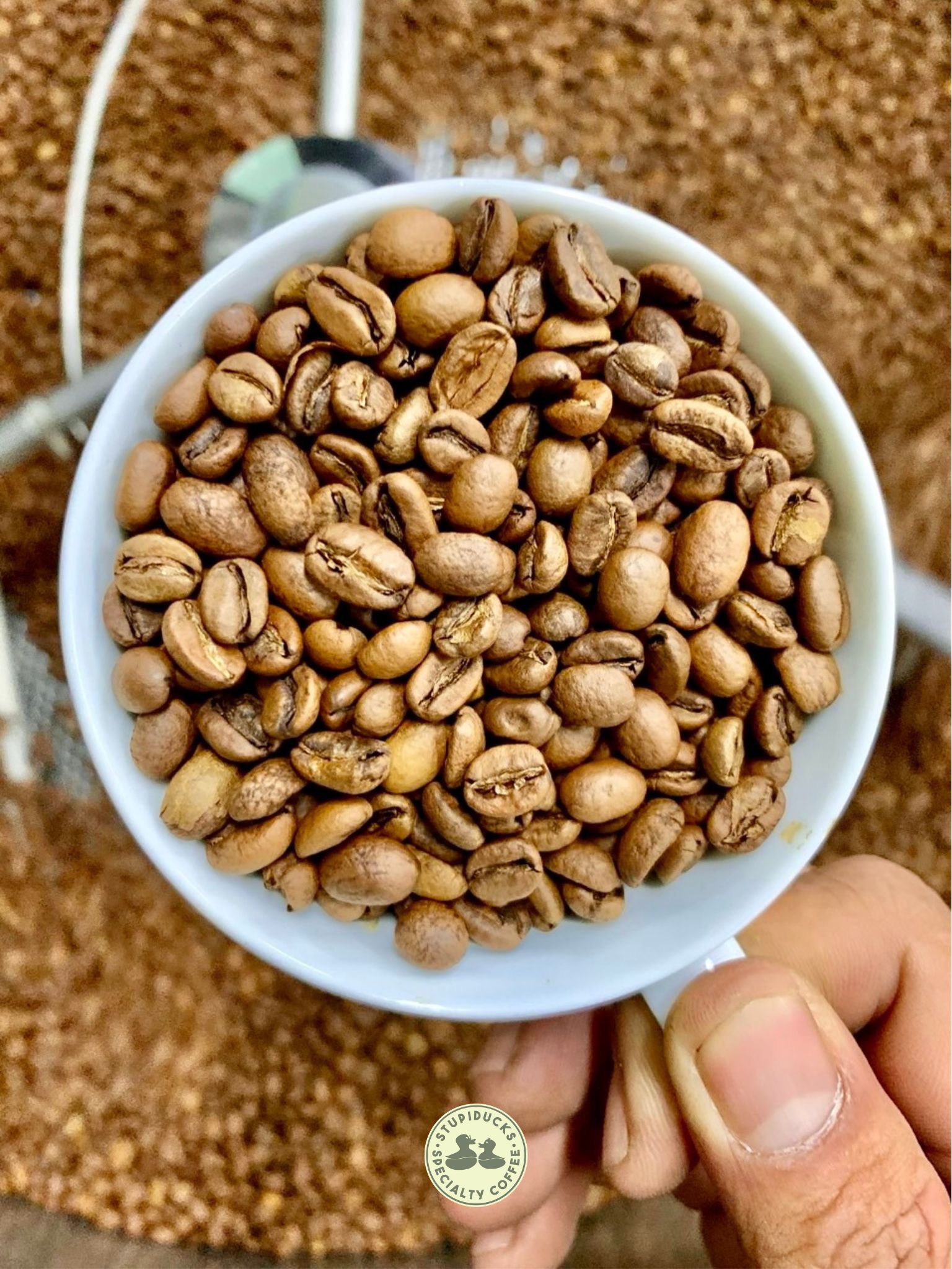 Cà Phê Hạt: Giới Thiệu Tổng Quan Về Nguồn Gốc, Loại Và Phương Thức Chế Biến