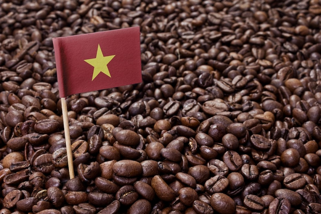 Cà Phê Hạt Rang Sẵn: Sự Tiện Lợi Và Những Lưu Ý Khi Sử Dụng