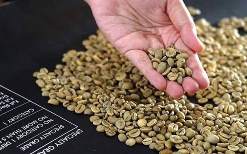 Cách Bảo Quản Cà Phê Hạt Để Giữ Nguyên Hương Vị Và Chất Lượng
