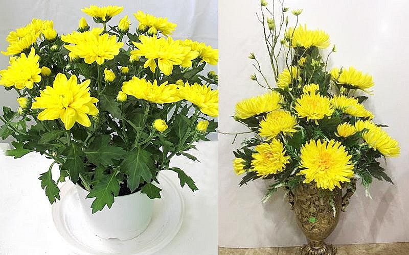 Giờ tốt cúng Vía Thần Tài: Chọn thời điểm phù hợp để tăng cường hiệu quả cầu tài Giờ tốt cúng Vía Thần Tài: Chọn thời điểm phù hợp để tăng cường hiệu quả cầu tài