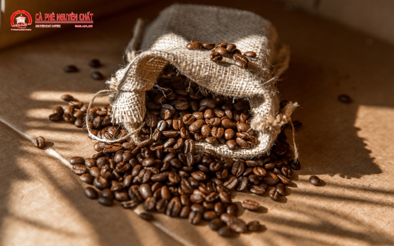 Gợi Ý Chọn Mua Cà Phê Hạt Cao Cấp: Trung Nguyên, Milano Và Các Thương Hiệu Uy Tín
