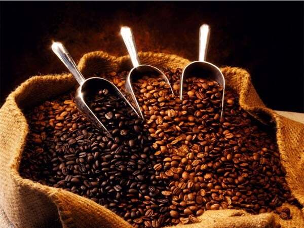 Gợi Ý Chọn Mua Cà Phê Hạt Cao Cấp: Trung Nguyên, Milano Và Các Thương Hiệu Uy Tín