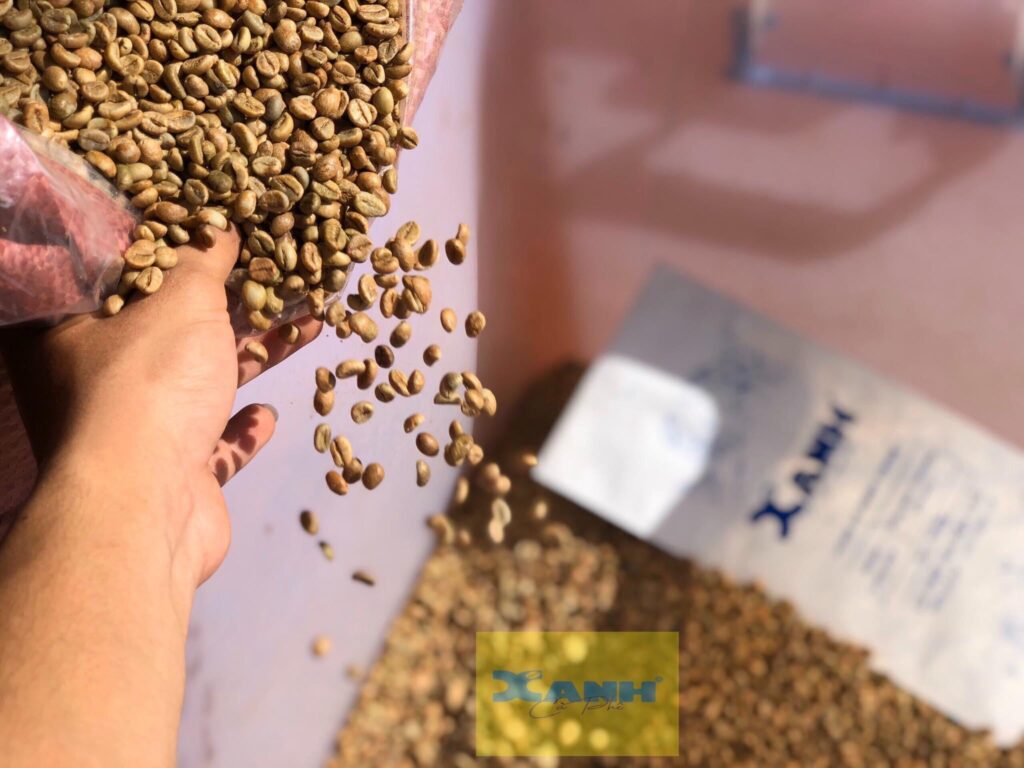 Hướng Dẫn Chọn Mua Cà Phê Hạt Nguyên Chất: Chất Lượng, Giá Cả Và Nguồn Gốc Hướng Dẫn Chọn Mua Cà Phê Hạt Nguyên Chất: Chất Lượng, Giá Cả Và Nguồn Gốc