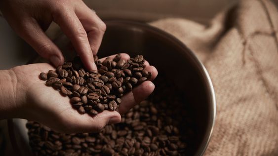Hướng Dẫn Chọn Mua Cà Phê Hạt Nguyên Chất: Chất Lượng, Giá Cả Và Nguồn Gốc Hướng Dẫn Chọn Mua Cà Phê Hạt Nguyên Chất: Chất Lượng, Giá Cả Và Nguồn Gốc