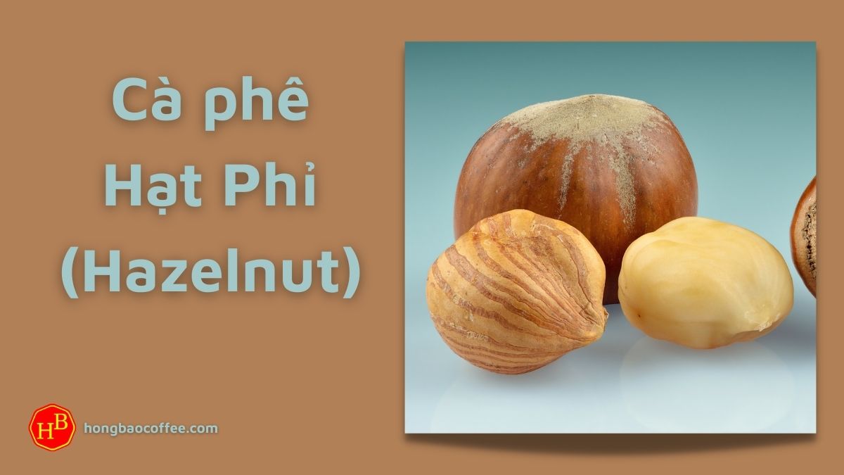 Khám Phá Hương Vị Đặc Trưng Của Cà Phê Hạt Phỉ Cao Cấp