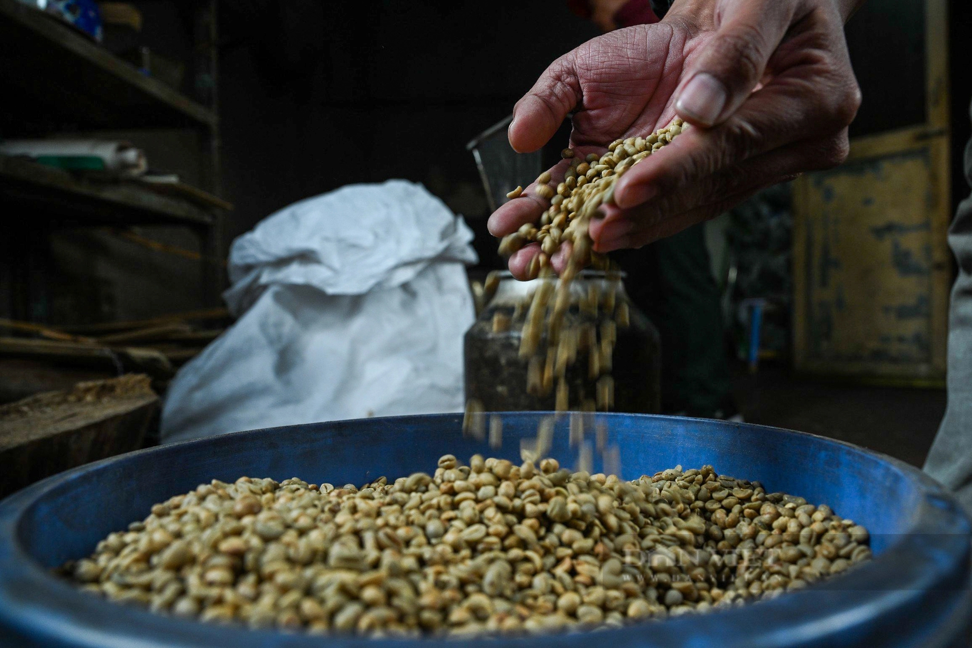 kham pha huong vi doc dao cua ca phe hat phi va ca phe hat rang moc 67bd59c7d9b95