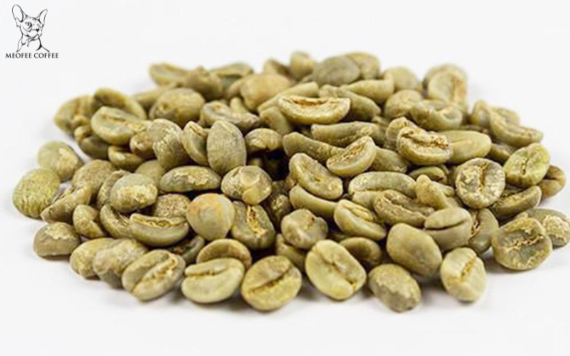 Khám Phá Hương Vị Độc Đáo Của Cà Phê Hạt Phỉ Và Cà Phê Hạt Rang Mộc