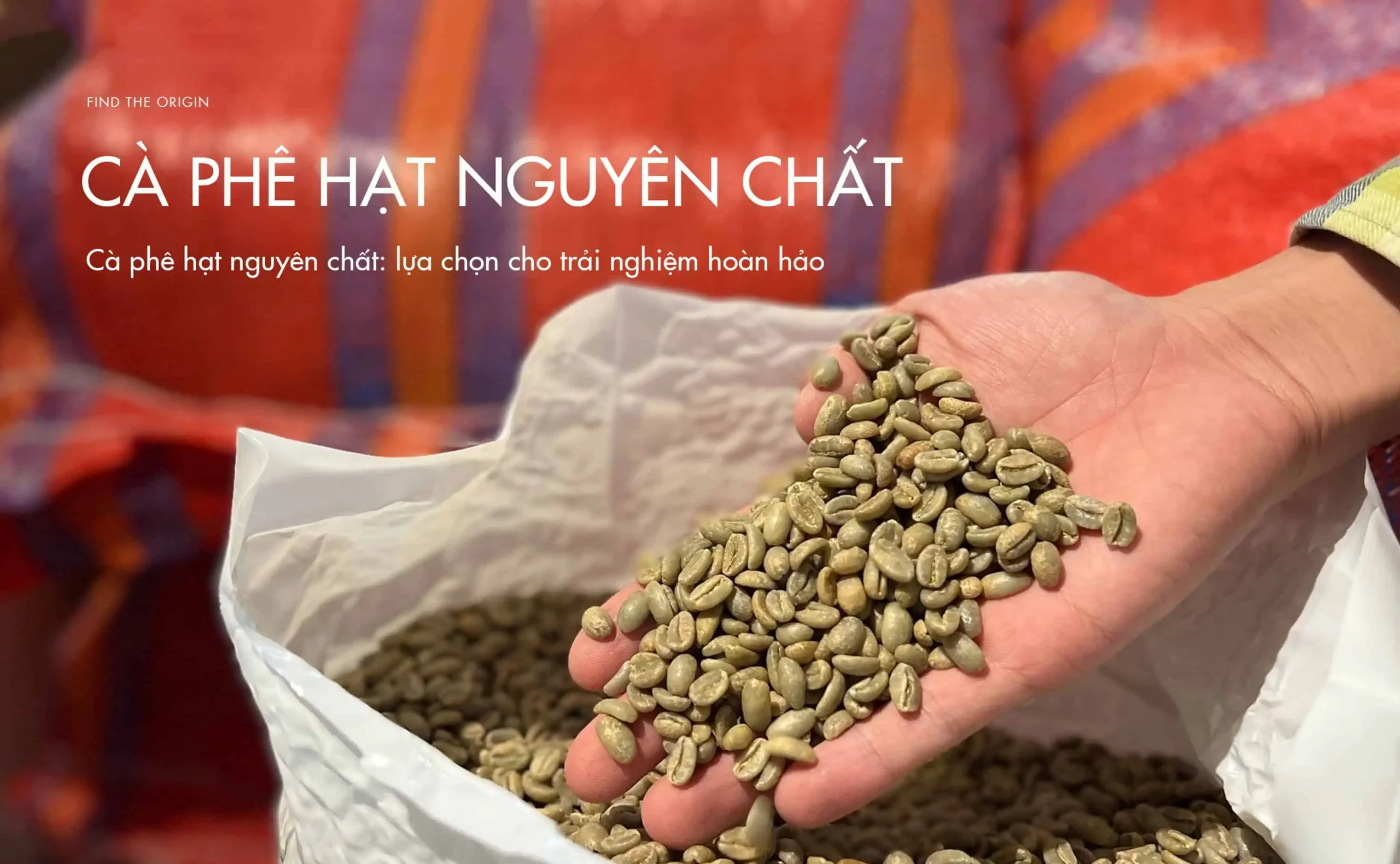 Khám Phá Hương Vị Độc Đáo Của Cà Phê Hạt Phỉ Và Cà Phê Hạt Rang Mộc