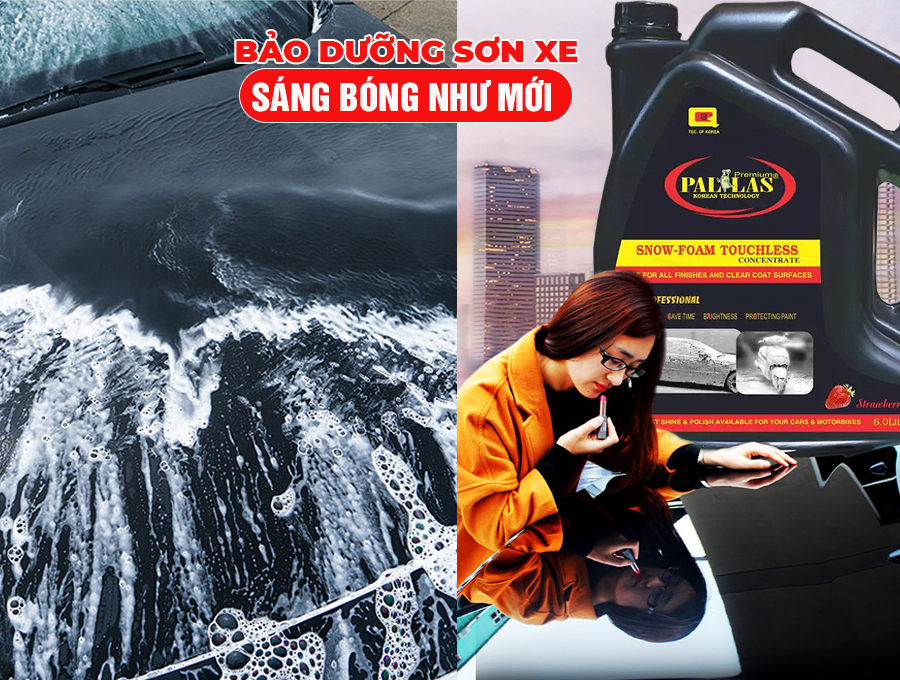 Nước Rửa Xe Không Chạm Pallas: Tại Sao Nên Chọn? Nước Rửa Xe Không Chạm Pallas: Tại Sao Nên Chọn?
