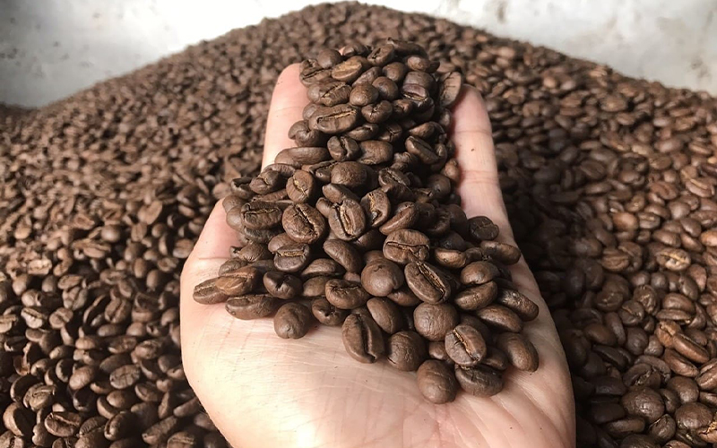 Phân Loại Cà Phê Hạt: Arabica, Robusta, Và Những Đặc Điểm Nổi Bật