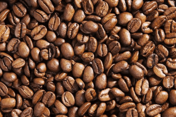 Phân Loại Cà Phê Hạt: Arabica, Robusta, Và Những Đặc Điểm Nổi Bật Phân Loại Cà Phê Hạt: Arabica, Robusta, Và Những Đặc Điểm Nổi Bật
