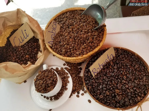Phân Loại Cà Phê Hạt: Arabica, Robusta, Và Những Đặc Điểm Nổi Bật Phân Loại Cà Phê Hạt: Arabica, Robusta, Và Những Đặc Điểm Nổi Bật