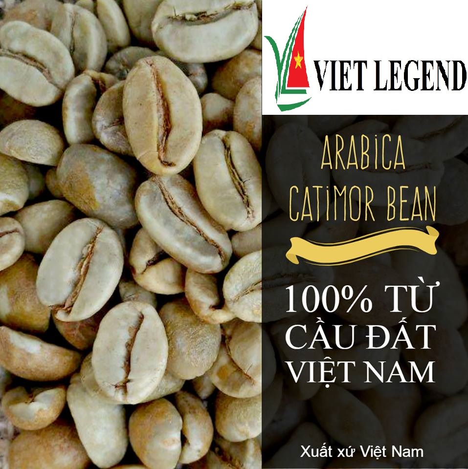 Phân Loại Cà Phê Hạt: Arabica, Robusta, Và Những Đặc Điểm Nổi Bật Phân Loại Cà Phê Hạt: Arabica, Robusta, Và Những Đặc Điểm Nổi Bật