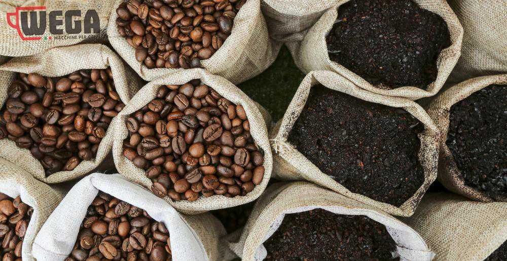 Phân Loại Cà Phê Hạt: Arabica, Robusta, Và Những Đặc Điểm Nổi Bật Phân Loại Cà Phê Hạt: Arabica, Robusta, Và Những Đặc Điểm Nổi Bật
