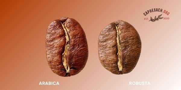 So Sánh Giá Cả Và Chất Lượng: Cà Phê Hạt Ngon Với Mức Giá Phù Hợp