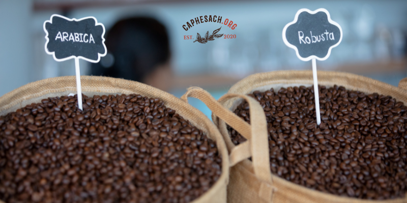 So Sánh Giá Cả Và Chất Lượng: Cà Phê Hạt Ngon Với Mức Giá Phù Hợp