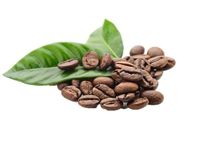 So Sánh Giá Cả Và Chất Lượng: Cà Phê Hạt Ngon Với Mức Giá Phù Hợp