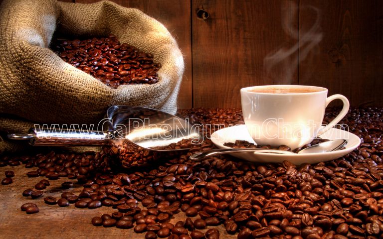 Thị Trường Cà Phê Hạt Hiện Nay: Xu Hướng Và Giá Cả