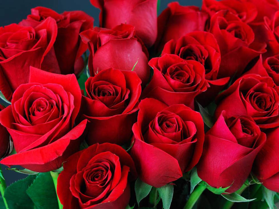 Tranh cãi về ngày Valentine: Giữa Giá trị Văn hóa và Thương mại hóa Tranh cãi về ngày Valentine: Giữa Giá trị Văn hóa và Thương mại hóa