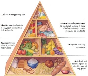 Vai trò của Vitamin A đối với sức khỏe Mẹ và sự phát triển của Bé Vai trò của Vitamin A đối với sức khỏe Mẹ và sự phát triển của Bé