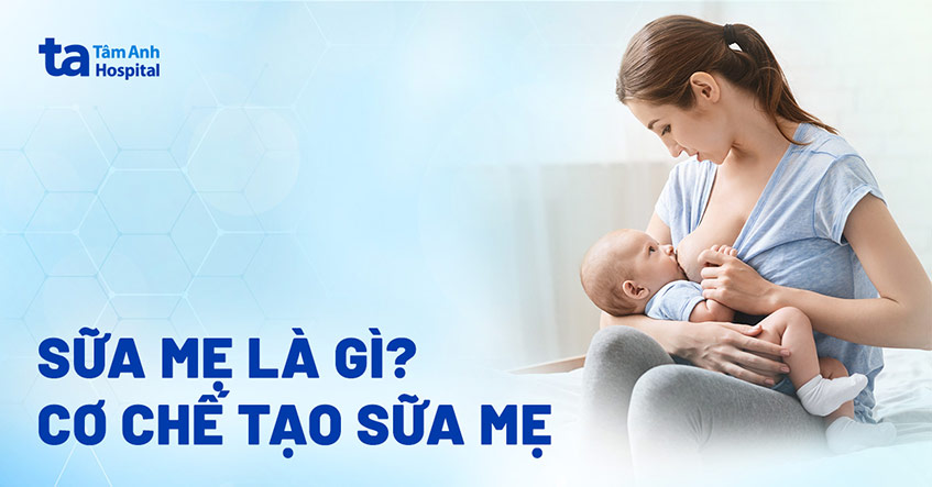 Vai trò của Vitamin A đối với sức khỏe Mẹ và sự phát triển của Bé Vai trò của Vitamin A đối với sức khỏe Mẹ và sự phát triển của Bé