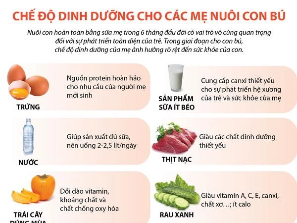 Vai trò của Vitamin A đối với sức khỏe Mẹ và sự phát triển của Bé Vai trò của Vitamin A đối với sức khỏe Mẹ và sự phát triển của Bé