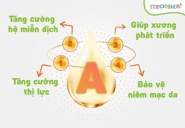 Vai trò của Vitamin A đối với sức khỏe Mẹ và sự phát triển của Bé Vai trò của Vitamin A đối với sức khỏe Mẹ và sự phát triển của Bé