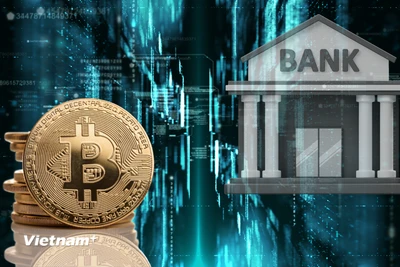 BTC Rớt Xuống Dưới 82000 Đô La: Phân Tích Biến Động Thị Trường BTC Rớt Xuống Dưới 82000 Đô La: Phân Tích Biến Động Thị Trường