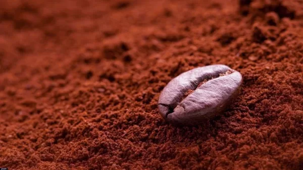 Cách khử mùi ô tô bằng cafe đơn giản nhưng hiệu quả
