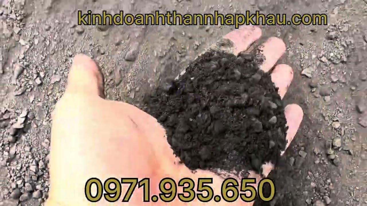 Khám Phá Thế Giới Của Than Cám - Lợi Ích, Ứng Dụng Và Cách Sử Dụng