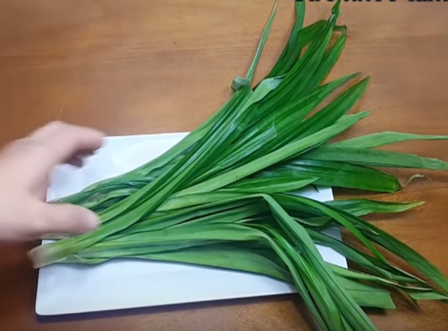 khu mui o to bang la dua phuong phap tu nhien 67cbdd975f58e