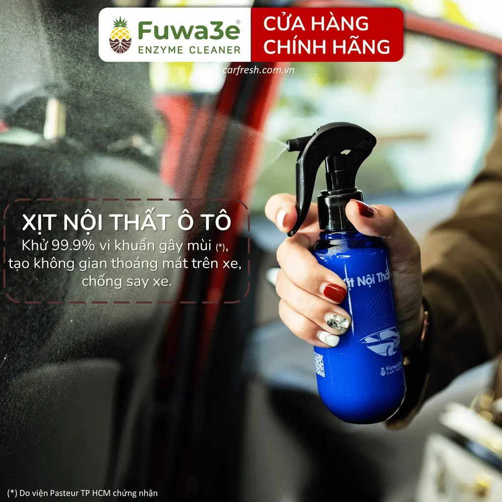 Khử mùi ô tô bằng lá dứa: Phương pháp tự nhiên