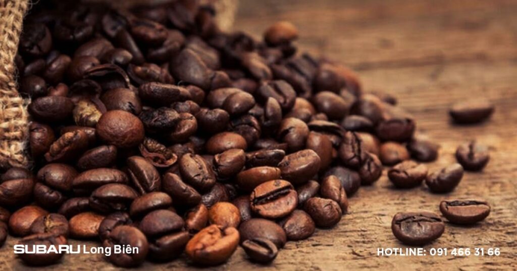 Khử mùi ô tô bằng lá dứa: Phương pháp tự nhiên