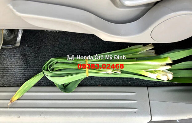 Khử mùi ô tô bằng lá dứa: Phương pháp tự nhiên