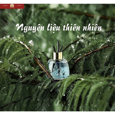 Khử mùi ô tô hiệu quả với các nguyên liệu tự nhiên: Trái thơm, cà phê, lá dứa...