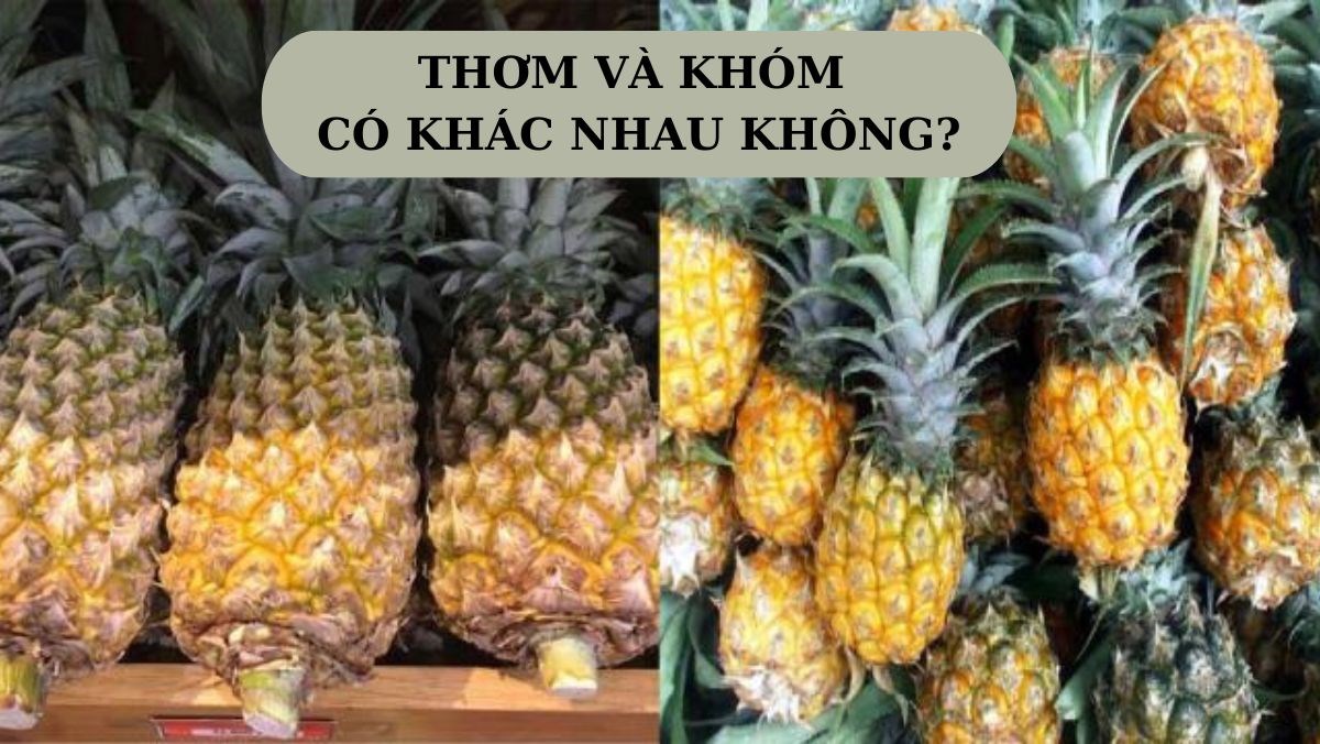 Khử mùi ô tô hiệu quả với các nguyên liệu tự nhiên: Trái thơm, cà phê, lá dứa...