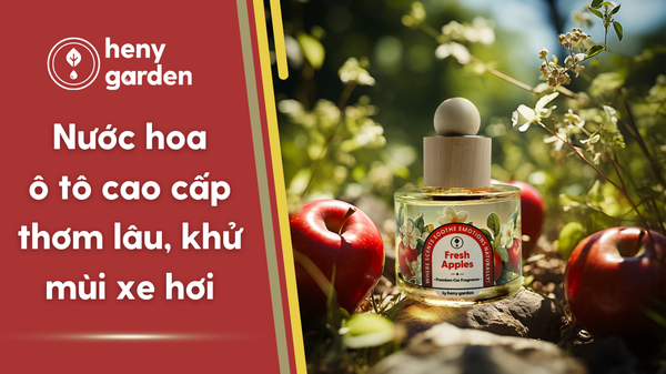 Khử mùi ô tô mới hiệu quả: Hướng dẫn chi tiết và lựa chọn sản phẩm phù hợp Khử mùi ô tô mới hiệu quả: Hướng dẫn chi tiết và lựa chọn sản phẩm phù hợp