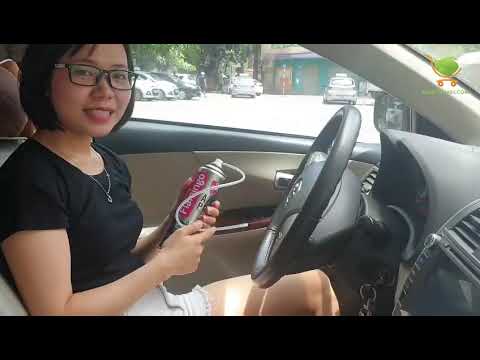 Làm sạch dàn lạnh ô tô và khử mùi hiệu quả: Hướng dẫn cách thực hiện và lựa chọn sản phẩm phù hợp (Flamingo, UNITECH...)
