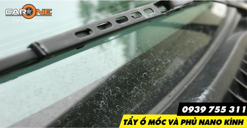 Những lưu ý quan trọng về tác hại tiềm ẩn khi sử dụng sai cách sản phẩm tẩy ố kính nhung luu y quan trong ve tac hai tiem an khi su dung sai cach san pham tay o kinh 67c2872fb8d99