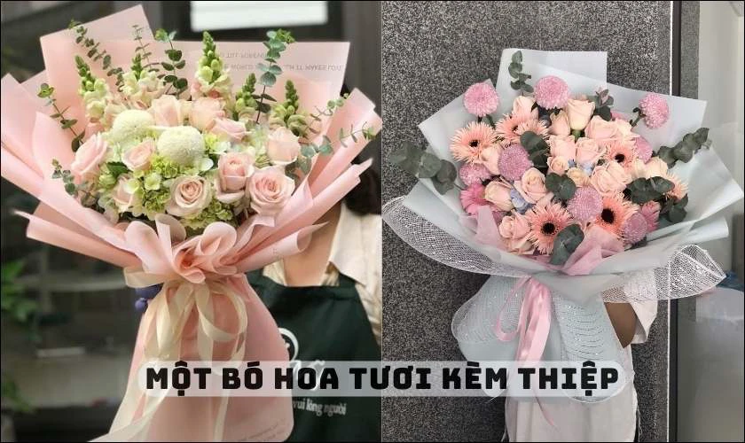 Quà Tặng Cô Giáo Ngày 8 Tháng 3: Tri Ân Người Đưa Đò Thầm Lặng Quà Tặng Cô Giáo Ngày 8 Tháng 3: Tri Ân Người Đưa Đò Thầm Lặng