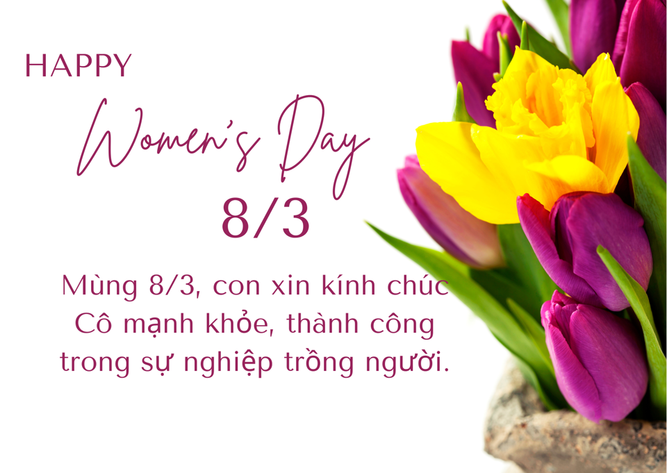 Quà Tặng Cô Giáo Ngày 8 Tháng 3: Tri Ân Người Đưa Đò Thầm Lặng Quà Tặng Cô Giáo Ngày 8 Tháng 3: Tri Ân Người Đưa Đò Thầm Lặng