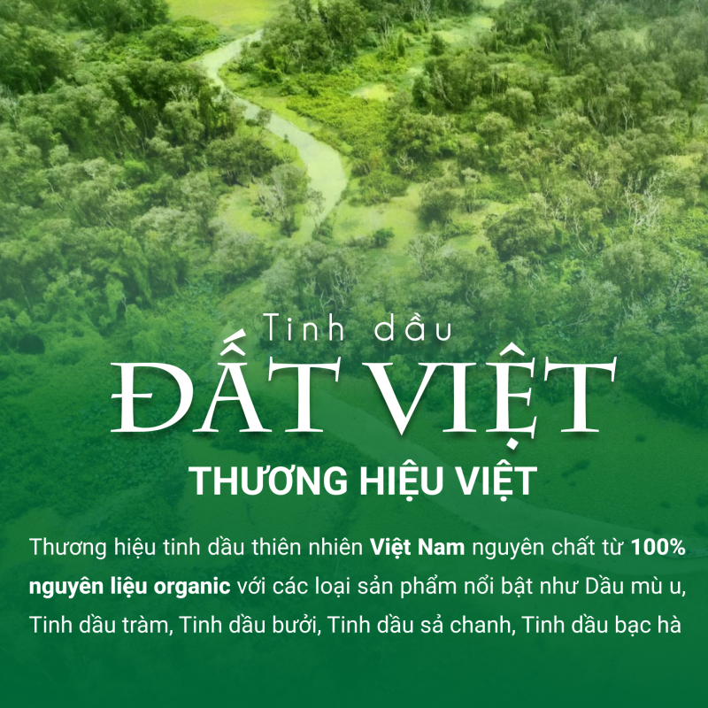 Tinh Dầu Bưởi - Bí Quyết Làm Đẹp và Sức Khỏe Từ Thiên Nhiên Tinh Dầu Bưởi - Bí Quyết Làm Đẹp và Sức Khỏe Từ Thiên Nhiên
