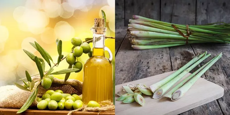 Tinh Dầu Bưởi - Bí Quyết Làm Đẹp và Sức Khỏe Từ Thiên Nhiên Tinh Dầu Bưởi - Bí Quyết Làm Đẹp và Sức Khỏe Từ Thiên Nhiên